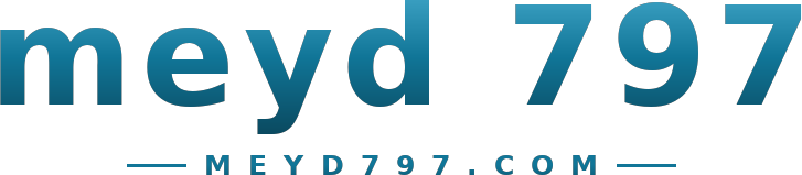 meyd 797 logo